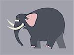 There is a moving big black elephant with tusks.