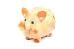 piggy bank isolated, concept for business and save money against white background