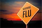 Flu on Warning Road Sign on Sunset Sky Background.