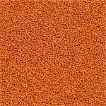 Uncooked Red Lentils Background. Seamless Tileable Texture.