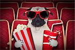 dog watching a movie in a cinema theater, with soda and popcorn wearing glasses