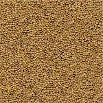 Dry Brown Lentils Background. Seamless Tileable Texture.