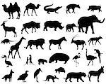 Collection of silhouettes of animals living in the territory of Africa