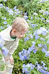 little boy enjoying flowers at spring time