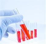 hand in medical blue glove is holding test tube with red liquid in laboratory on blue light tint background