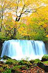 Autumn colors, Aomori Prefecture, Japan