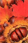 Chestnuts