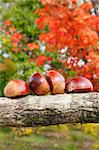 Chestnuts