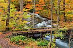 Autumn colors, Aomori Prefecture, Japan