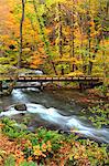 Autumn colors, Aomori Prefecture, Japan