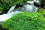 Nagano Prefecture, Japan