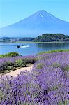 Fuji Five Lakes, Yamanashi Prefecture, Japan