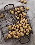 New potatoes in basket