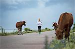 Man running, cows on roadside