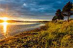 Scenic coast at sunset