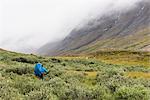 Hiker in mountains