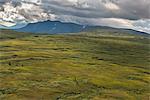 Landscape with moody sky