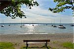 Lakeside with Bench and Tree, Herrsching am Ammersee, Lake Ammersee, Fuenfseenland, Upper Bavaria, Bavaria, Germany