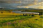 Countryside at sunset in spring, Lake Riegsee, Upper Bavaria, Bavaria, Germany