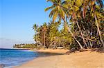 Beach at Las Terrenas, Samana Peninsula, Dominican Republic, West Indies, Caribbean, Central America