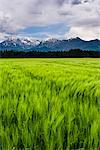 Kamnik Alps seen from near Kranj, Slovenia, Europe