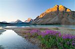 Bow Lake at sunrise, Banff National Park, UNESCO World Heritage Site, Alberta, Rocky Mountains, Canada, North America