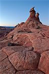 Sandstone formation, Coyote Buttes Wilderness, Vermilion Cliffs National Monument, Arizona, United States of America, North America