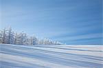 Snowy Hokkaido countryside, Japan