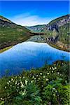 Scenic view of Granvin, Hardanger Region, Hordaland, Western Norway, Norway