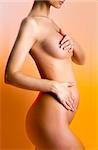 Beautiful pregnant female body