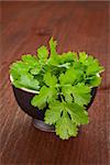 Fresh coriander in black round bowl on dark wooden background. Fresh culinary herb series.