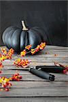 Black colored pumpkin with berries and scissors on table