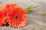 Orange gerbera flowers on wooden background with copy space