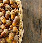 basket full of acorns on wooden table