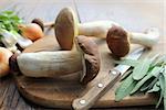 Mushroom boletus on cutting board