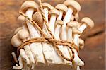 bunch of fresh wild mushrooms on a rustic wood table tied with a rope