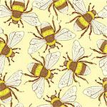 Sketch bumble bee in vintage style, vector seamless pattern