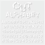 Decorative cut paper alphabet. Vector illustration