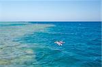 Two people snorkeling in ocean on tropical coral reef