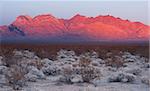 The last of the light hits the mountains in the Mojave Desert