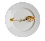 Fishbone on plate isolated on white background with clipping path