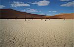 Cracked clay pan with distant dead trees and sand dunes, Deaddvlei, Sossusvlei National Park, Namibia