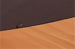 Oryx in shadow on giant sand dune, Sossusvlei National Park, Namibia