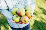 Girl holding homegrown apples in hands