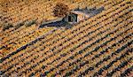 Elevated view of small abandoned house and tree in middle of field