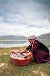 China, Xinjiang, Karakul lake. Kyrgyz woman washing raw wool near the shores of Karakul lake (MR)
