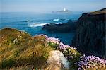 Coastal Cliffs, Godrevy Point, nr St Ives, Cornwall, England