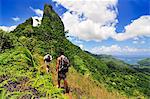 Trekking, Three-Coconut-Pass, Mount Tohiea, Moorea, French Polynesia, South Seas MR