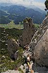 Climbing, Gamssteig, Reit im Winkl, Chiemgau, Bavaria, Germany MR