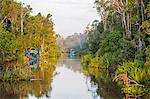 Indonesia, Central Kalimatan, Tanjung Puting National Park. Klotoks  comfortable, traditional river boats   moored along the Sekonyer River.